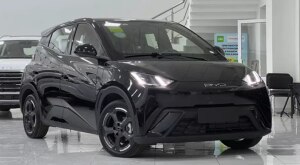 BYD Dolphin Mini