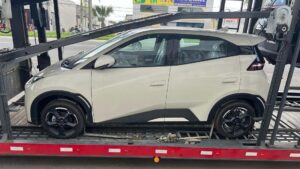 BYD Dolphin Mini flagra