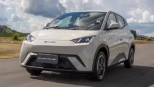 BYD Dolphin Mini ranking