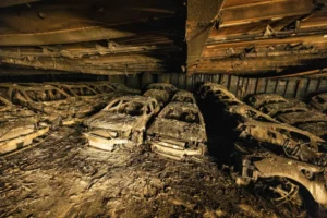 carro elétrico fogo incêndio navio