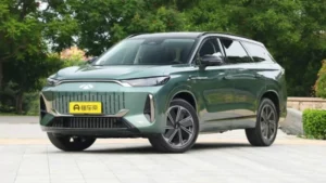 Chery Fulwin T10