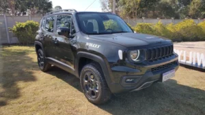 Renegade