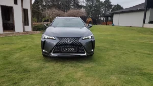 Lexus UX 300h
